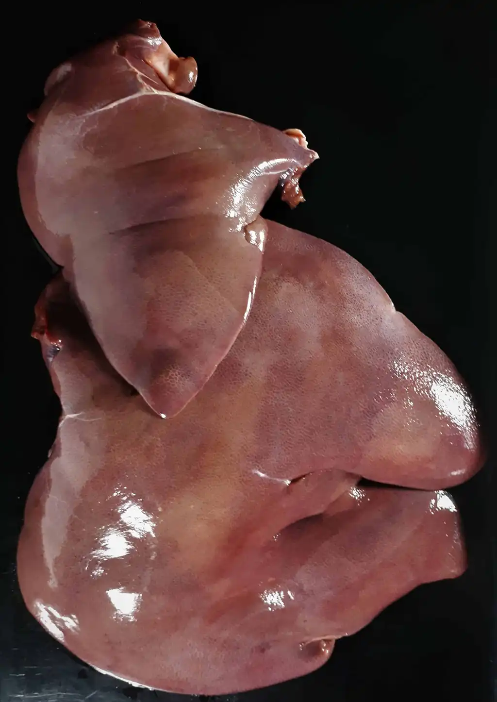 Schweineleber Bild 1
