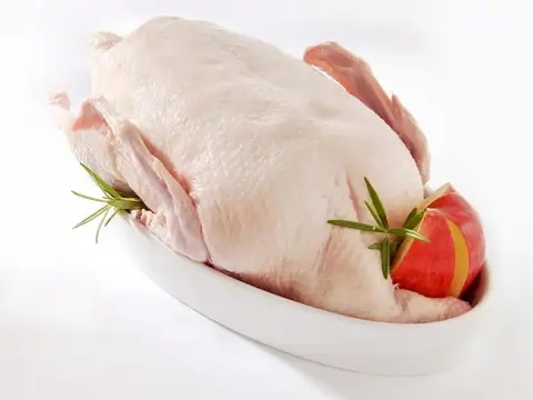 bayerische Gans aus Weidehaltung