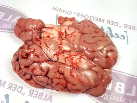 Schweinehirn